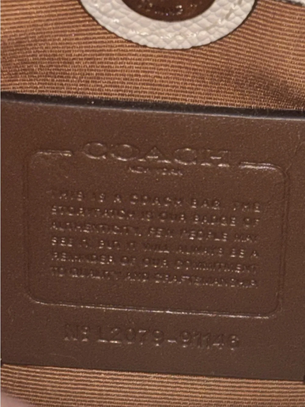 Coach Lillie Carryall Crossbody Handbag